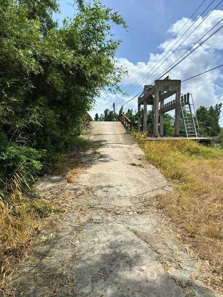 Đất Farm 3000m² tại Vị Tân, Vị Thanh - Giá chỉ 140 triệu/1000m²