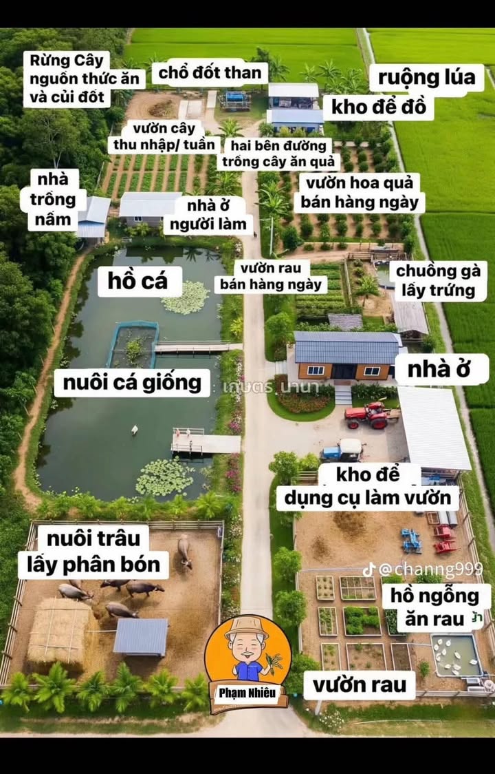 Đất vườn Bình Tú, Thăng Bình 1000m² chỉ 660 triệu - Sổ hồng chính chủ!