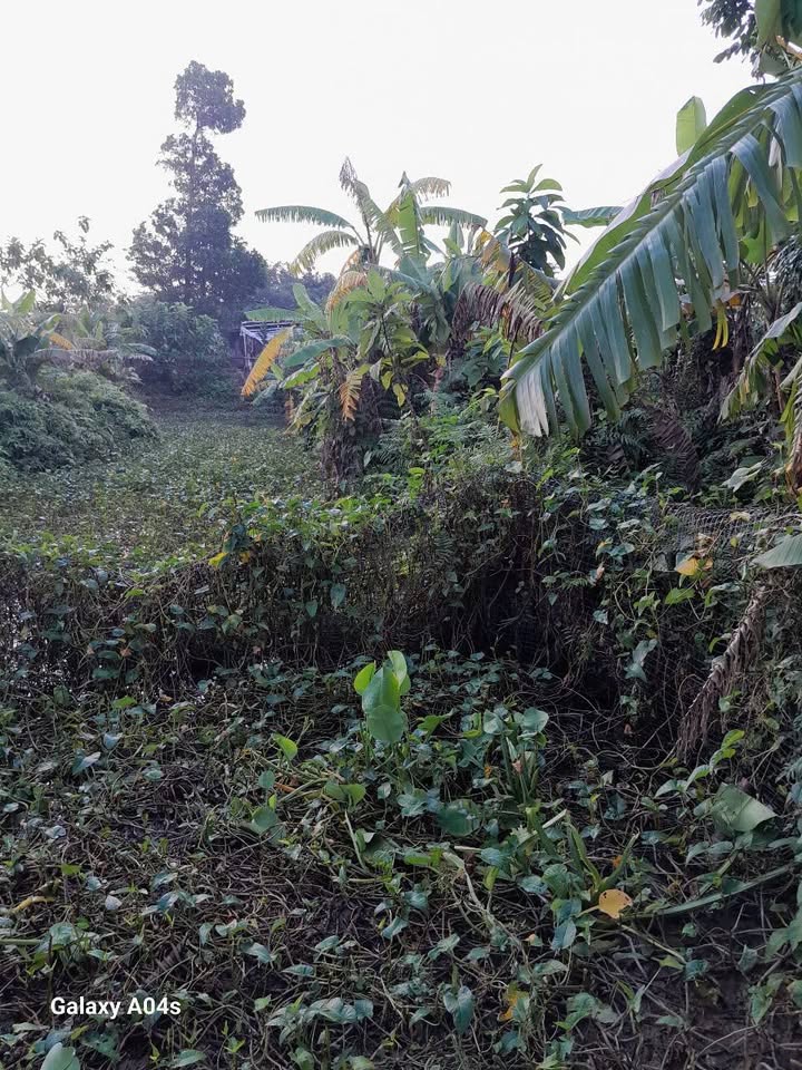 Đất nền chính chủ tại xã Thiệu Toán, 200m² chỉ 800 triệu - Đường thông thoáng, đầu tư an toàn!