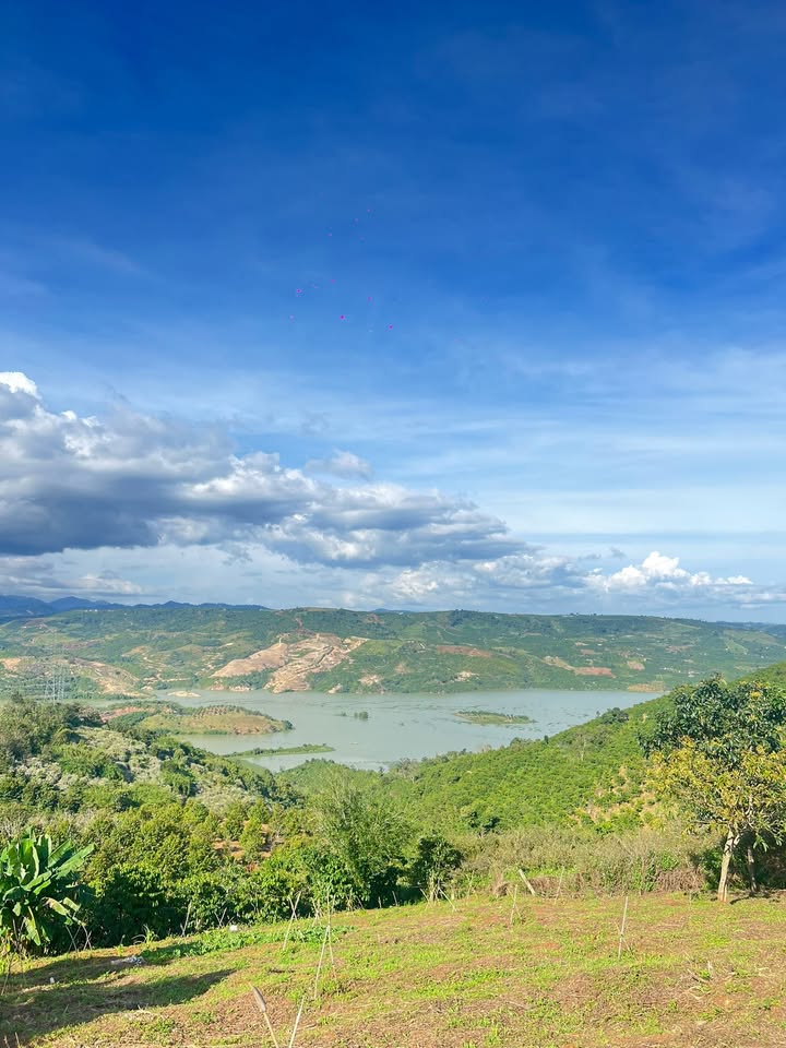 Lô đất 2000m² tại Tân Thượng, Di Linh - Sổ đỏ chính chủ, giá 1.7 tỷ - View sông thơ mộng!