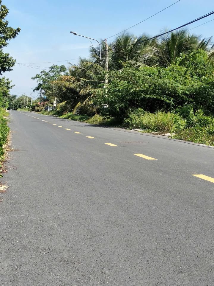 Đất vườn dừa 2 mặt tiền đường 86B, Tiền Giang 934m² - Cơ hội đầu tư hiếm có!