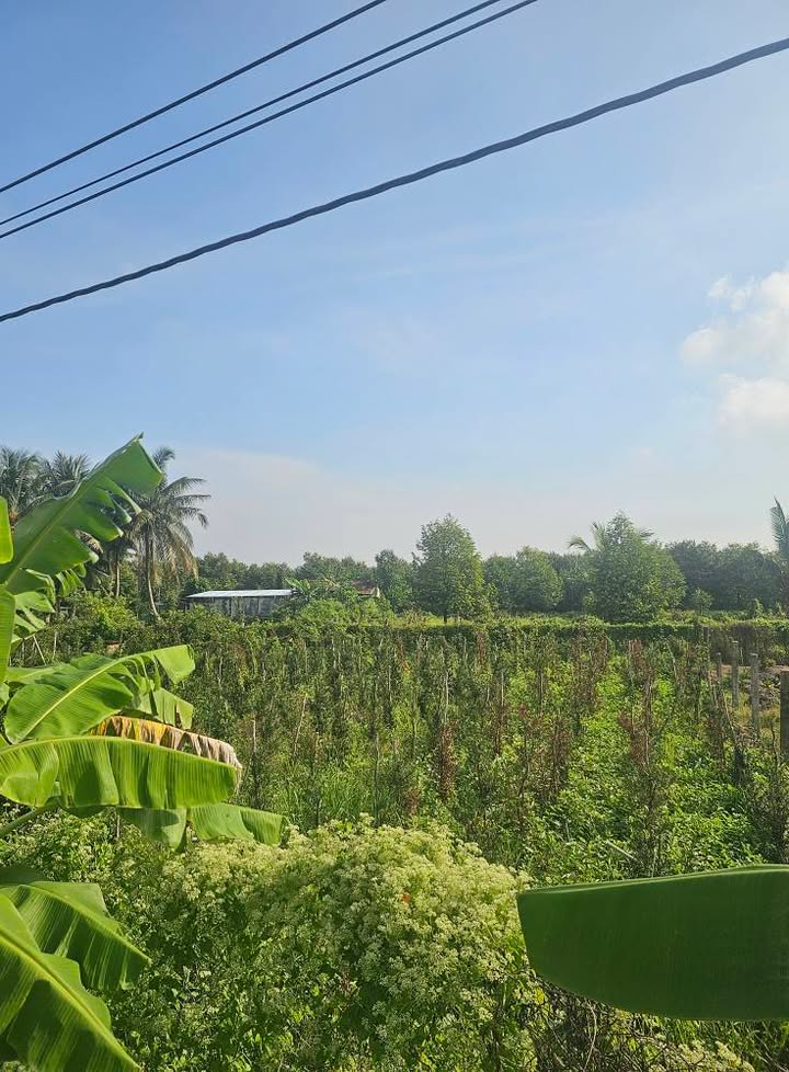 Đất nền chính chủ tại Đường Huyện 58B, Cai Lậy 240m² giá chỉ 950 triệu - Thương lượng trực tiếp với chủ!