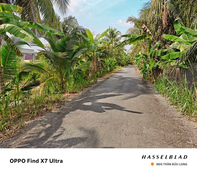 Đất nền Lương Hòa Lạc, Chợ Gạo 1954m² giá 3.2 tỷ - Cơ hội đầu tư hiếm có!