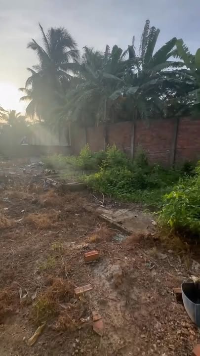 Đất nền mặt tiền xe hơi Nhị Mỹ, Cai Lậy 320m² giá 1.3 tỷ - Đầu tư sinh lời ngay!