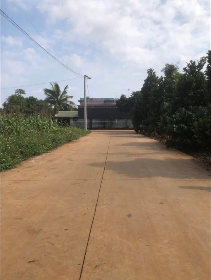 Đất thổ cư Cư Suê 135m² giá 520 triệu - Vị trí đẹp, giao thông thuận tiện!