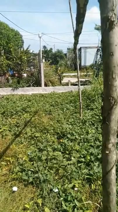 Đất nền An Thới Đông Cần Giờ 160m² giá 1.8 tỷ - Sổ hồng chính chủ, vị trí đắc địa!