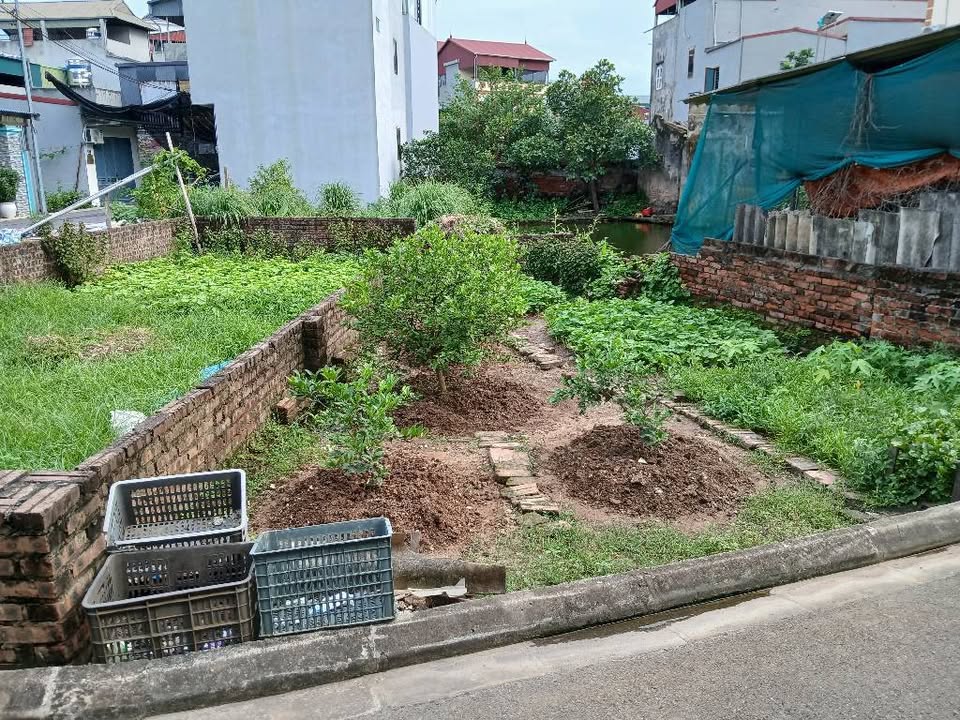 Đất Đa Tốn 52m² giá 3 tỷ - Ô tô vào tận nơi, xây nhà thoải mái!