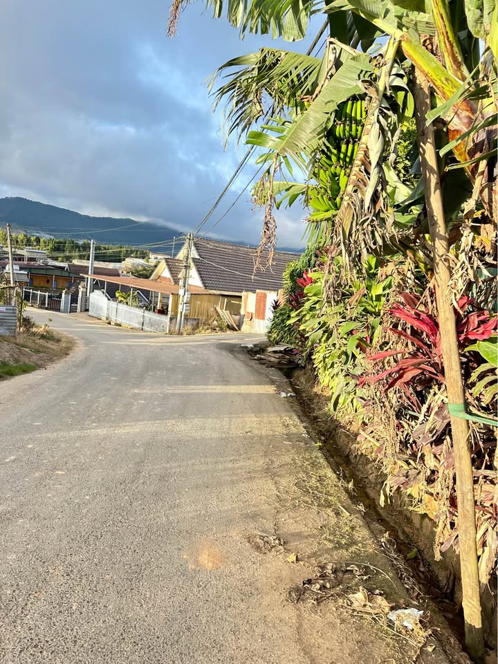 Đất nền Đà Lạt 500m² giá 5 tỷ - Sổ riêng, vị trí đẹp gần Chung Cư Nguyễn Hoàng!