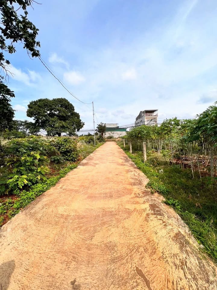 Lô đất Nguyễn Tri Phương nối dài 500m² giá 1.9 tỷ - Cơ hội đầu tư hiếm có!