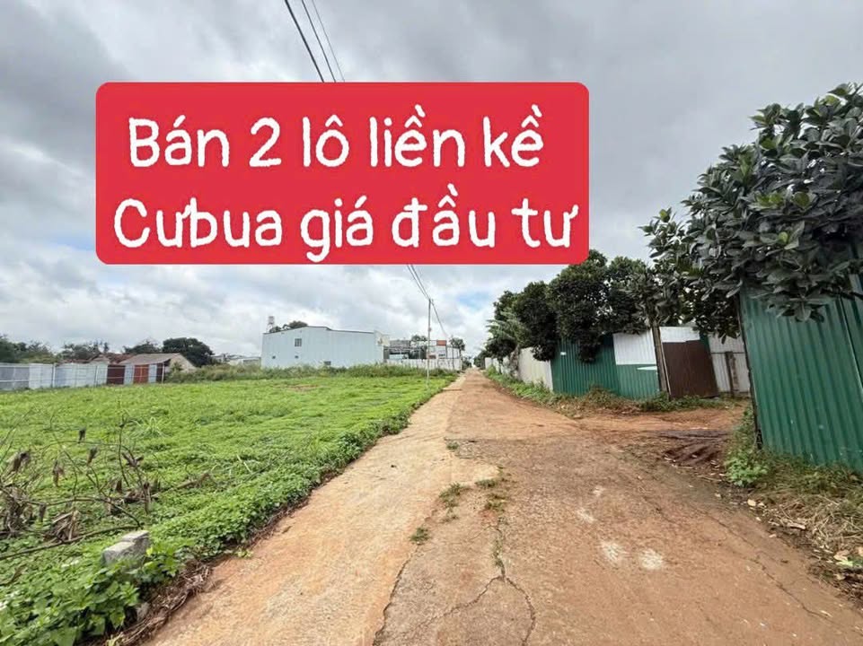 Đất nền Thôn 3, xã Cư Êbur, 100m² giá 1.3 tỷ - Đầu tư ngay hôm nay!