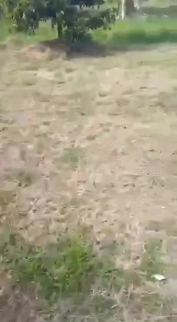 Đất Farm Đa Kia Bù Gia Mập 9700m² giá 1.53 tỷ - Đầu tư sinh lời tốt!