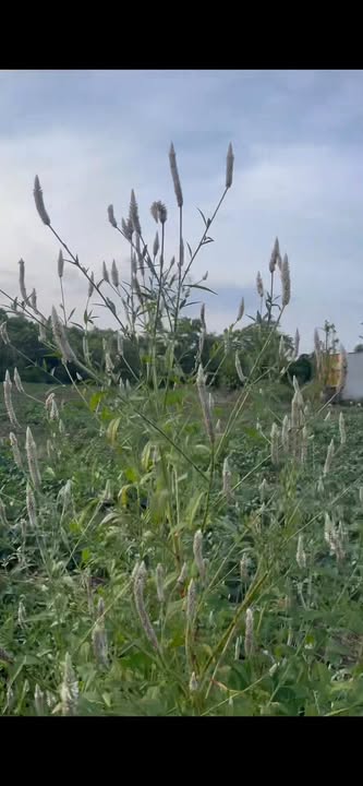 Đất nền Xuân Phú, Xuân Lộc 10000m² giá 3.6 tỷ - Đầu tư sinh lời hấp dẫn!