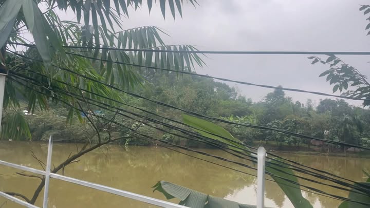 Đất nền Phường An Cựu, Huế 1574m² giá 4 tỷ - Vị trí đắc địa, không thể bỏ qua!