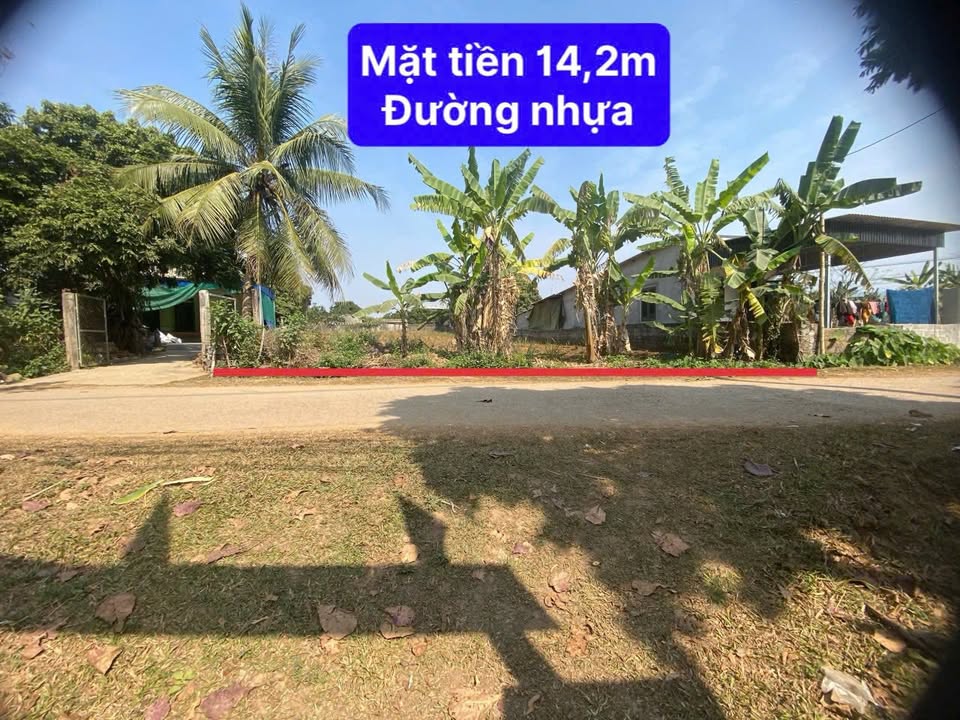 Đất thổ cư Nam Phong, Cao Phong, Hòa Bình 1222m² - Giá tốt, vị trí đẹp!