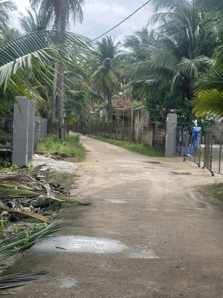 Đất nền Tam Quan Hoài Nhơn 913m² giá 2 tỷ - Tiềm năng đầu tư cao!