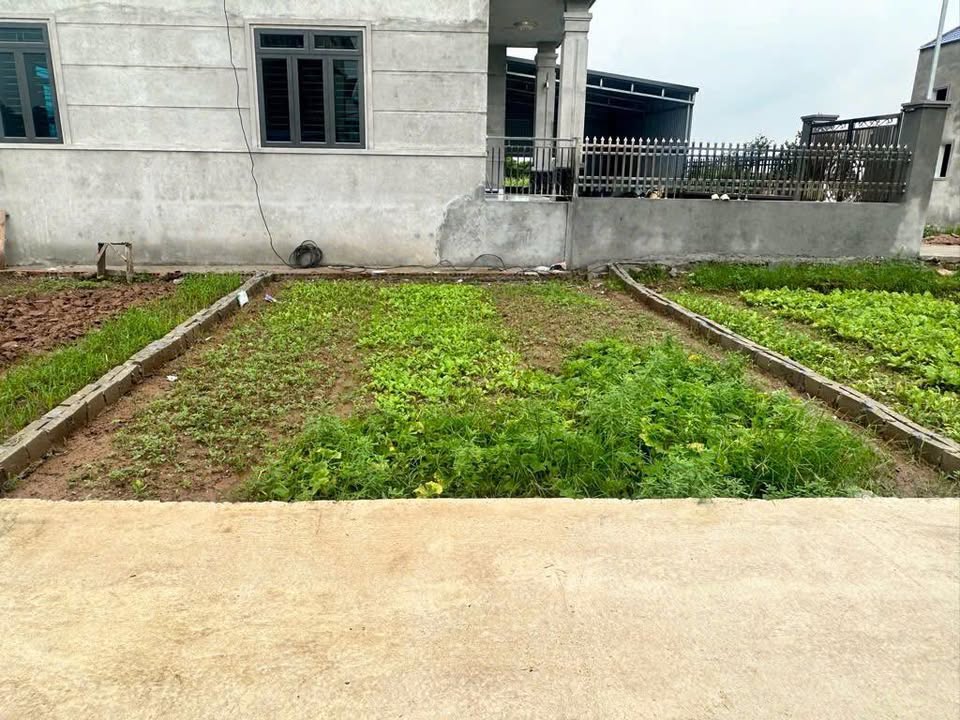 Đất Đa Tốn 46m² giá 3 tỷ - Gần Vinhome Ocean Park 1, Ô tô vào tận nơi!