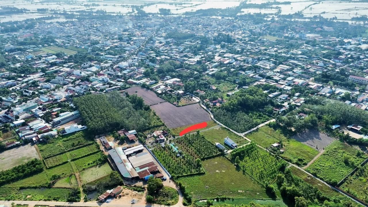 Đất nền Gò Dầu Tây Ninh từ 91m² giá chỉ 579 triệu - Đầu tư sinh lời ngay!
