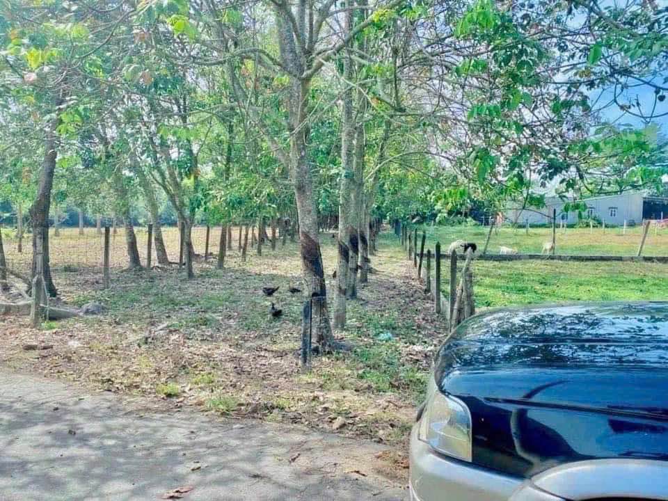 Đất nền Thái Mỹ, Củ Chi 929m² giá 2.5 tỷ - Đầu tư sinh lời lý tưởng!