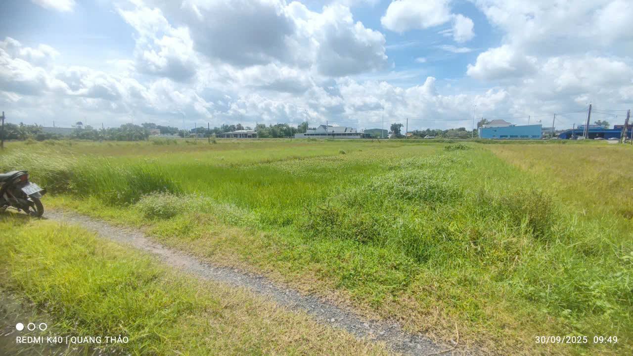 Đất thổ cư 300m² tại Mỹ Hạnh Tây, Đức Hòa - Giá chỉ 9.8 tỷ, cơ hội đầu tư tuyệt vời!