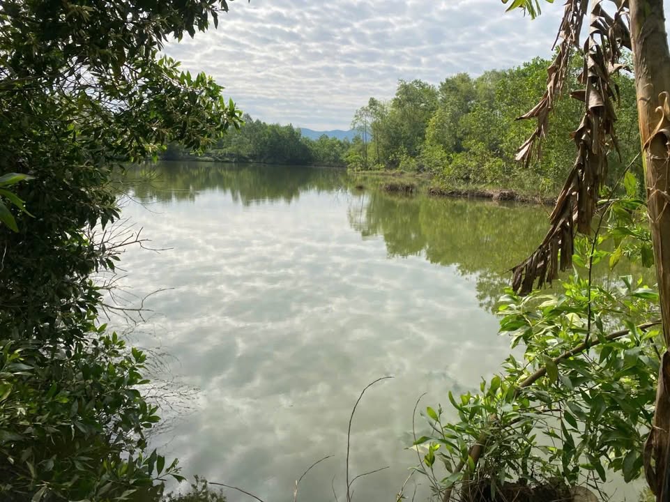 Bán đất và nhà tại thôn 5, Vân Sơn, Triệu Sơn, Thanh Hóa 2500m² - Tiềm năng đầu tư cao!