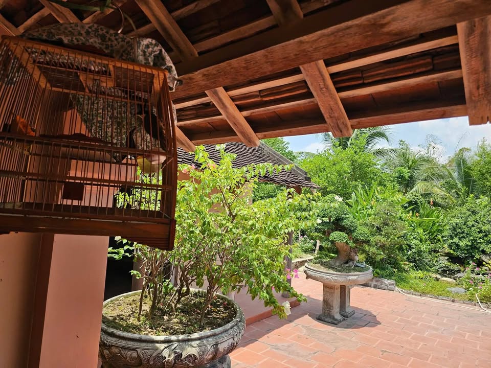 Nhà vườn Ninh Hưng Ninh Hòa 950m² giá 3.999 tỷ - Cơ hội sở hữu ngay!