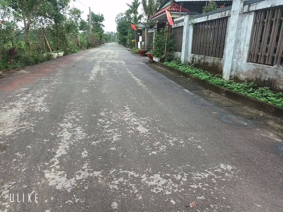 Đất thổ cư 306m² ngõ 640 đường Quang Trung - Giá chỉ 200 triệu đồng!