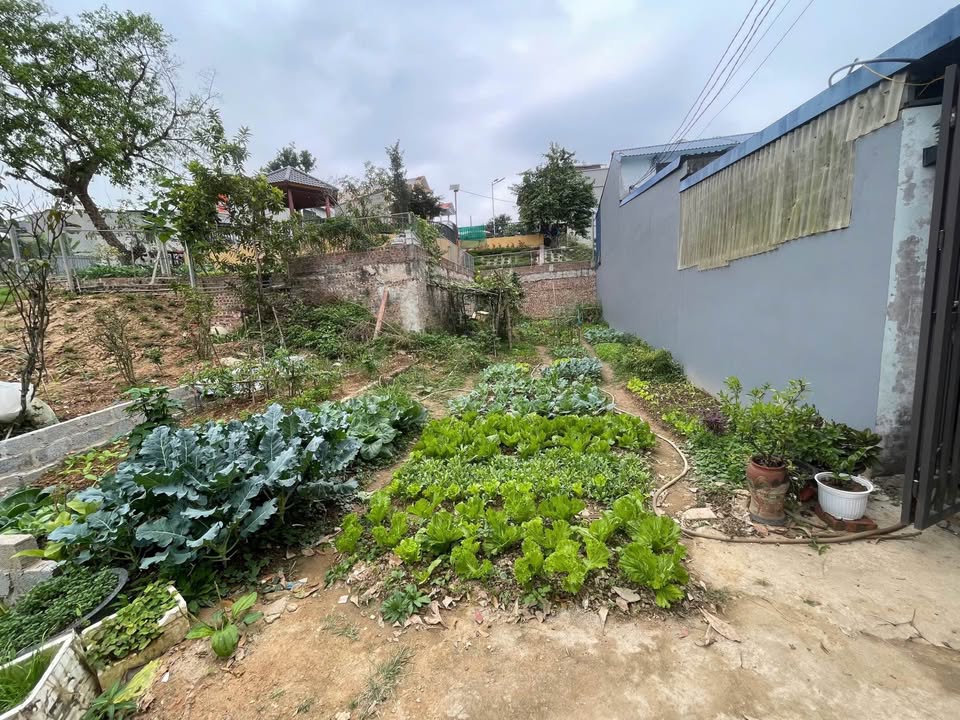 Đất nền Tân Lập Thái Nguyên 105m² giá 2 tỷ - Gần khu quy hoạch BigC!