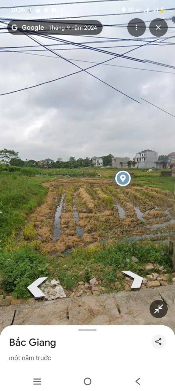 Đất đấu giá tại xã Quang Trung, Tân Yên, Bắc Giang 140m² - Cơ hội đầu tư hấp dẫn!