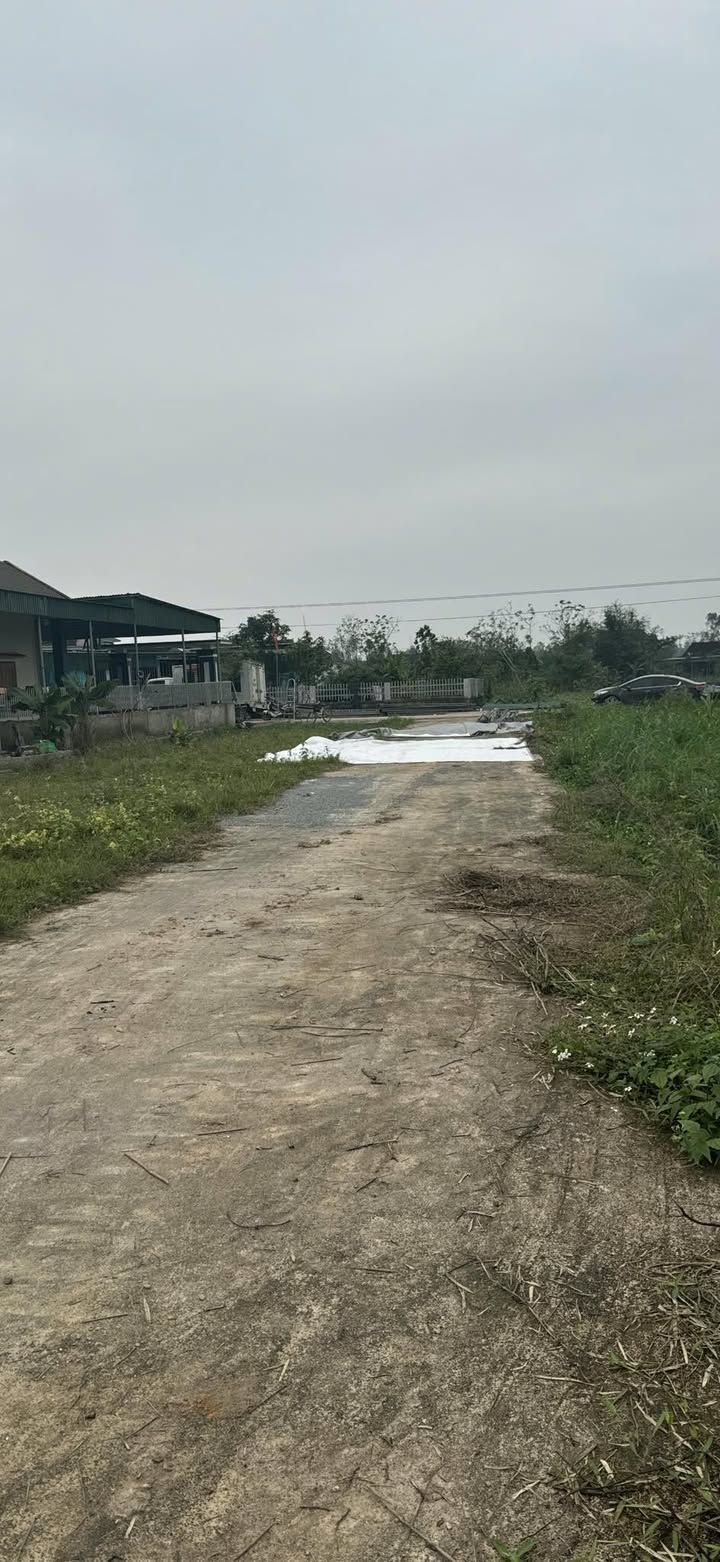 Đất Nghi Kiều Nghi Lộc 248m² giá chỉ 399 triệu - Cơ hội đầu tư hiếm có!