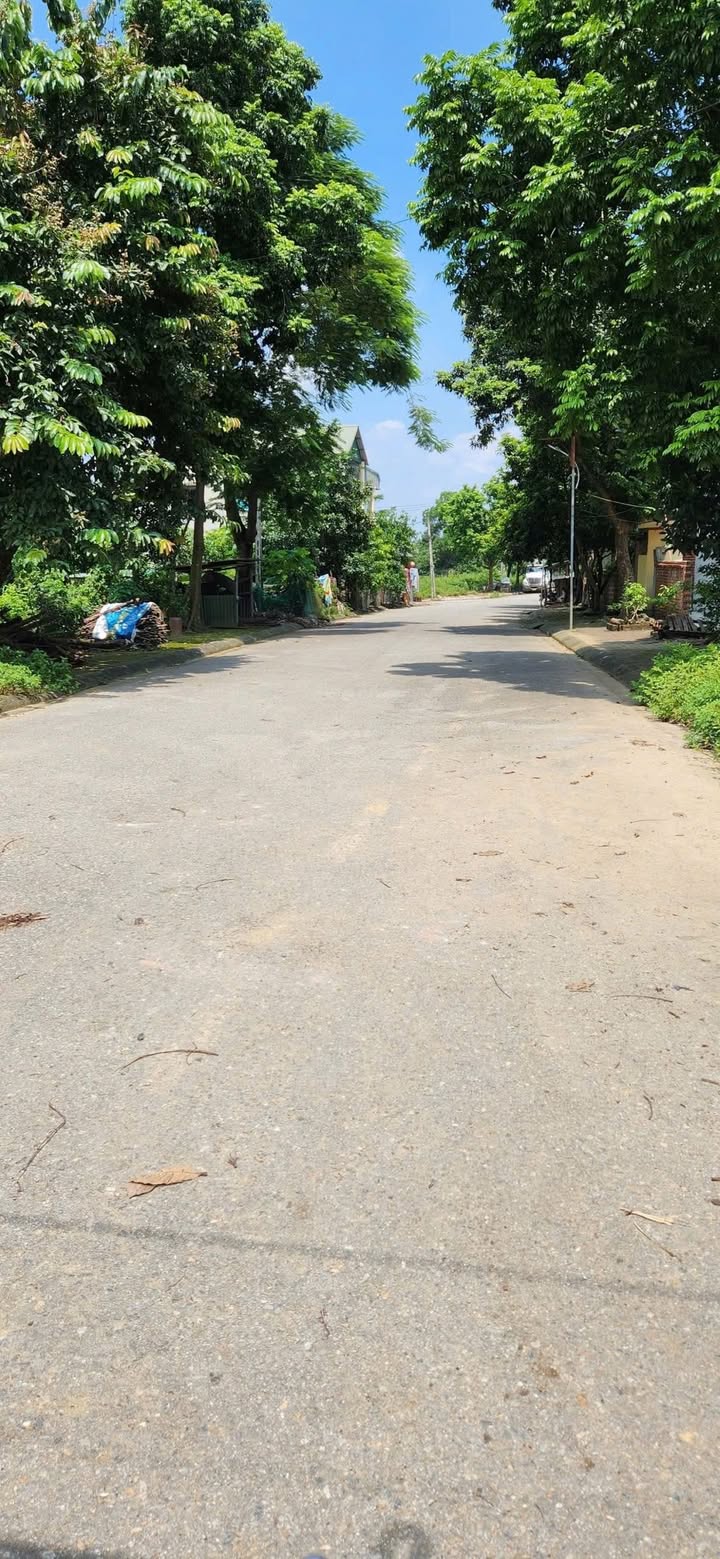 Đất nền tái định cư Vai Réo, Phú Cát 100m² giá thỏa thuận - Sổ đỏ chính chủ!