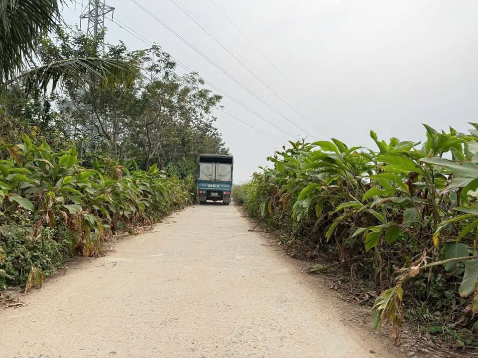 Đất thổ cư Sài Sơn 450m² giá 3 tỷ - Đường thông ô tô, xây nhà vườn lý tưởng!