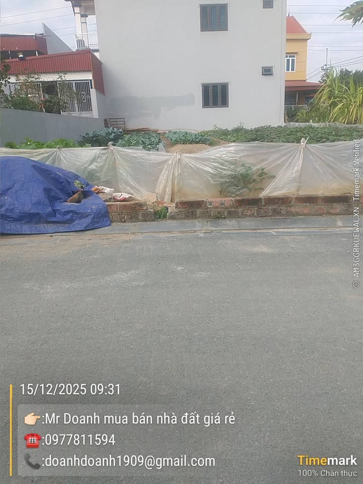 Đất nền chính chủ tại Xuân Nộn, Đông Anh 100m² - Phong thủy đẹp, giá tốt!