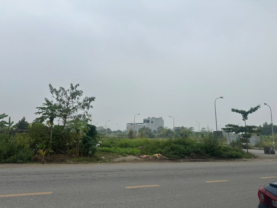 Bán gấp FrontHouse 75m² phố Lạc Long Quân, giá chỉ 3.4 tỷ - Kinh doanh lý tưởng!