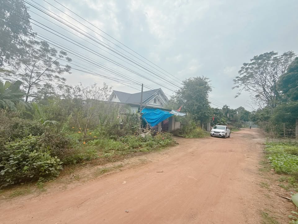 Đất khu phố 8 Chu Hóa, Việt Trì 369.5m² giá 2.9 tỷ - Sổ đỏ chính chủ, không quy hoạch!