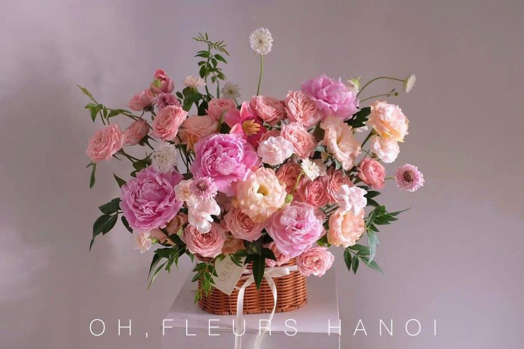 Đất nền Triệu Cơ 572m² giá 385 triệu - Cơ hội đầu tư hiếm có!