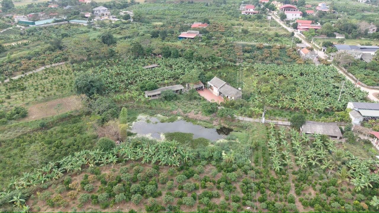 Lô vườn 9800m² tại Tân Sỏi, Yên Thế, Bắc Giang - Đất đẹp, giá tốt chỉ 6 tỷ!