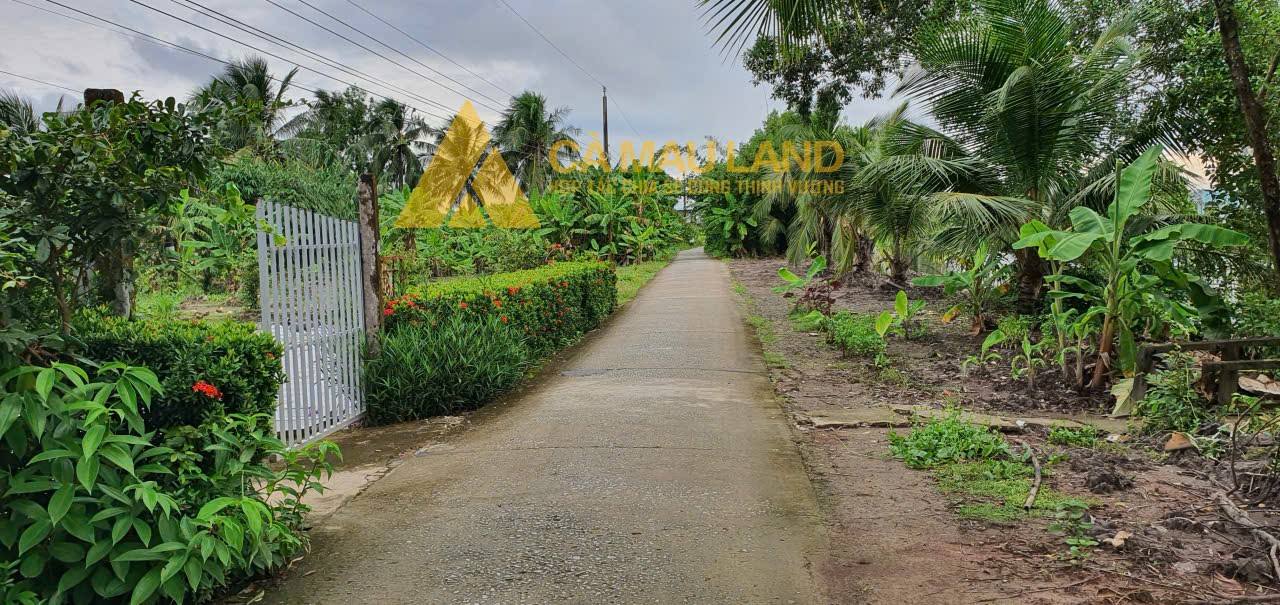 Đất nền phường An Xuyên Cà Mau 271m² giá 700 triệu - Sổ hồng chính chủ