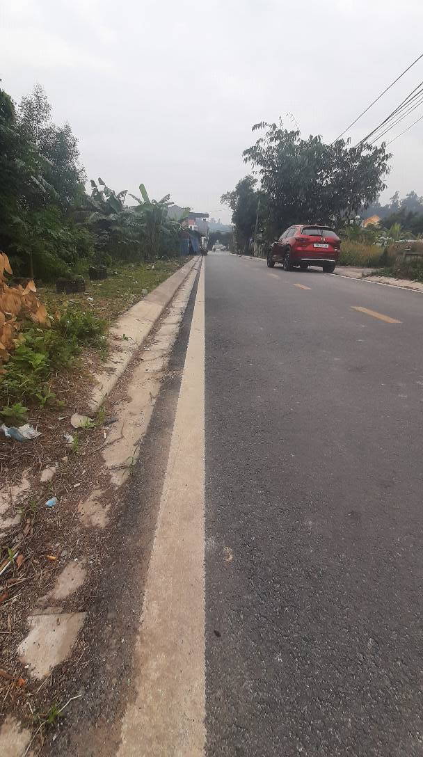 Đất thổ cư 400m² Thôn Xuân Áng - An Lão - Giá 4 tỷ - Sổ hồng chính chủ