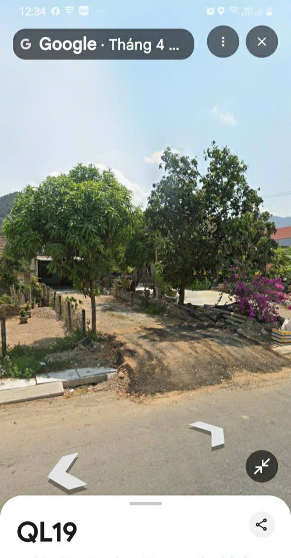 Nhà cấp 4 mặt tiền Quốc lộ 19, Tây Thuận 500m² - Đầu tư sinh lời ngay!