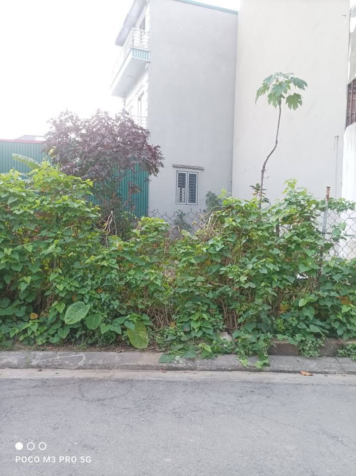 Bán đất Đa Tốn, Gia Lâm 60m² - Tiềm năng tăng giá vượt trội!