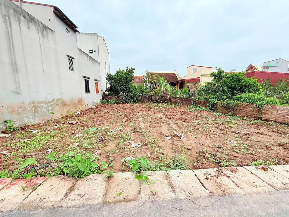 Đất Liên Phương, Hưng Yên 183m² chỉ 4.6 tỷ - Vị trí đắc địa, đầu tư sinh lời!