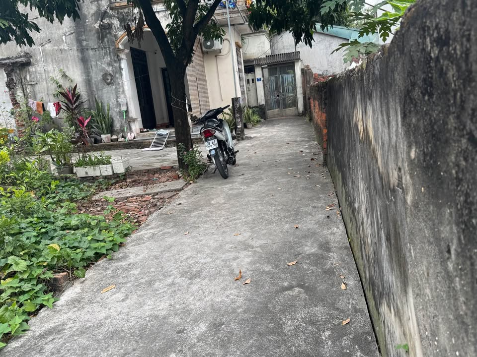 Đất nền Đặng Xá 59m² giá 3.6 tỷ - Mặt tiền 5m, ô tô tránh