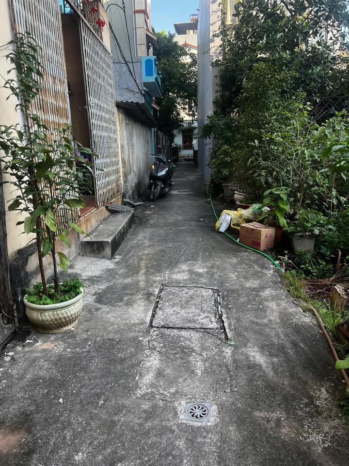 Đất nền tại ngõ Đại Đồng, Đông Mỹ, Thanh Trì 56m² giá 5 tỷ - Cơ hội đầu tư tuyệt vời!