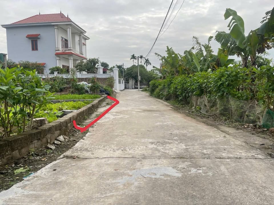 Đất thổ cư Minh Tiến Phù Cừ 65m² giá 600 triệu - Ô tô vào tận đất!