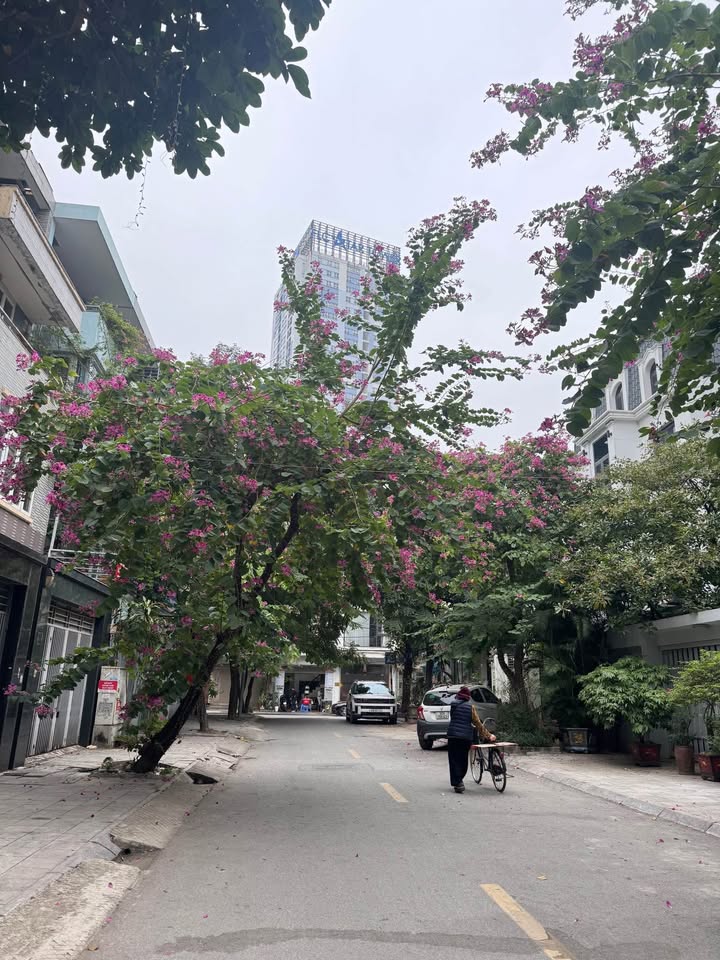 Nhà liền kề Văn Phú Hà Đông 80m² giá 17 tỷ - Gần ga tàu điện và đường đôi Văn Khê!