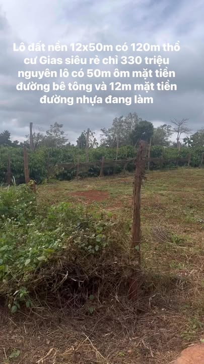 Đất nền 600m² thị trấn Chư Pưh, Gia Lai chỉ 330 triệu - Cơ hội đầu tư hấp dẫn!