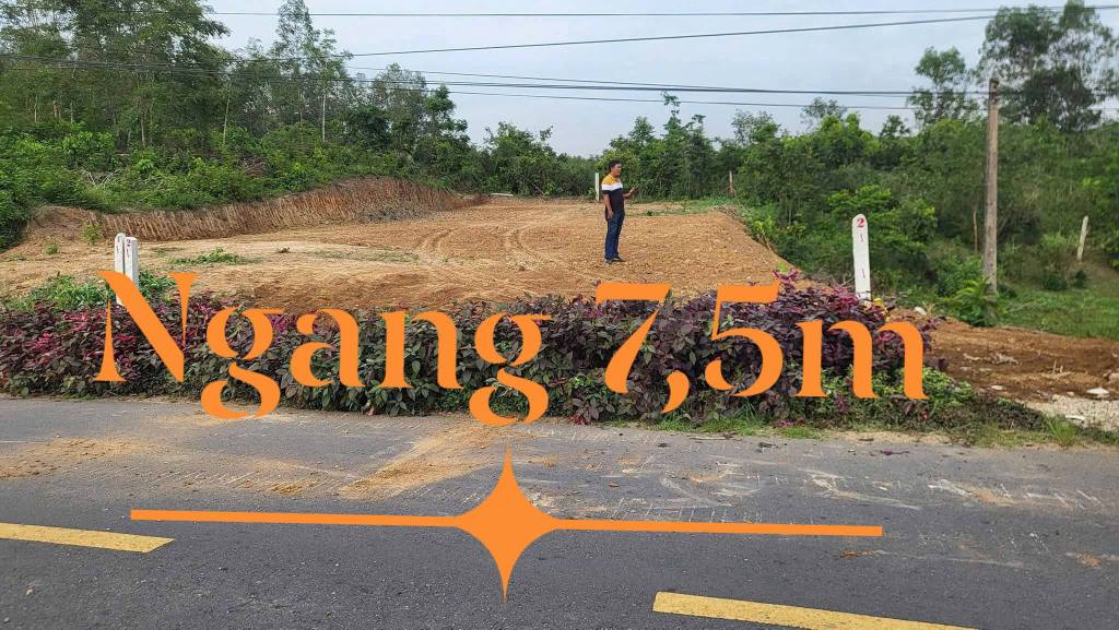 Đất thổ cư 334m² mặt đường TLO8B - Cơ hội đầu tư hiếm có chỉ 599 triệu