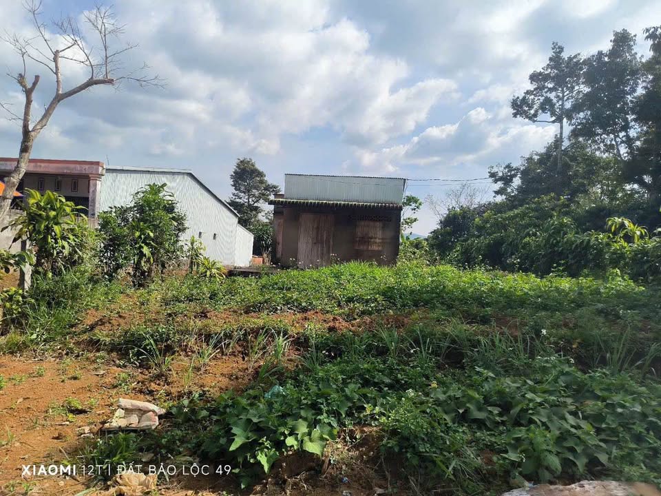 Đất mặt tiền Phan Đình Phùng, Bảo Lộc 667m² giá 6.5 tỷ - Thương lượng linh hoạt!