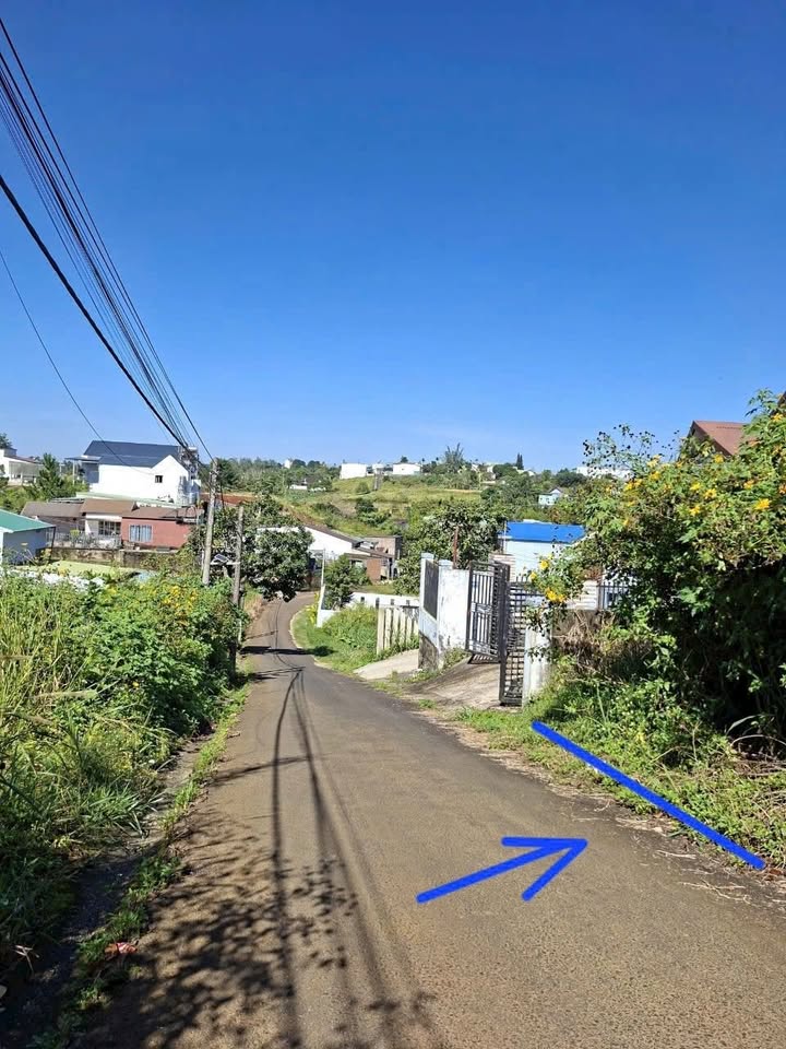 Đất thổ cư Hẻm 200 Phan Đình Phùng 220m² giá 2.3 tỷ - Cơ hội đầu tư tuyệt vời!