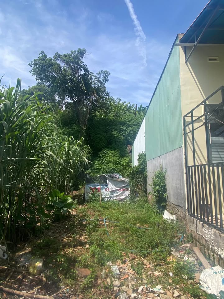 Đất nền dự án Đức Trọng 75m² giá 750 triệu - Gần sân bay Liên Khương!